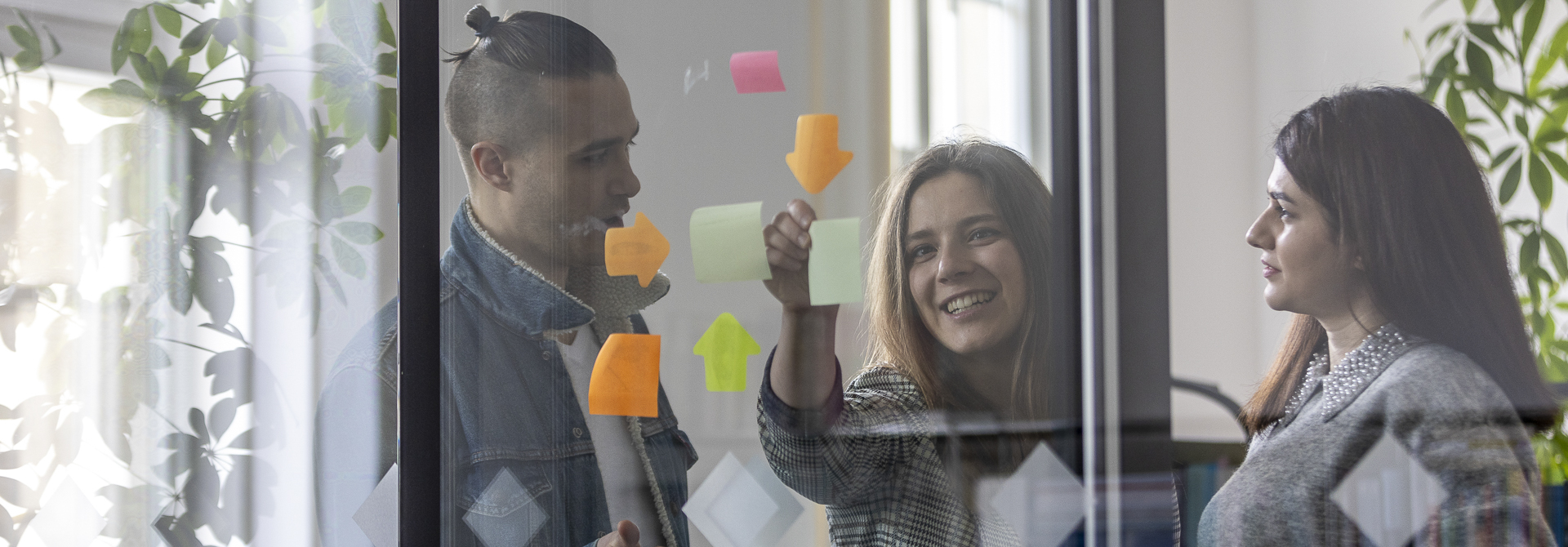 Viadrina-Studierende im Austausch von Ideen mit Post-Its